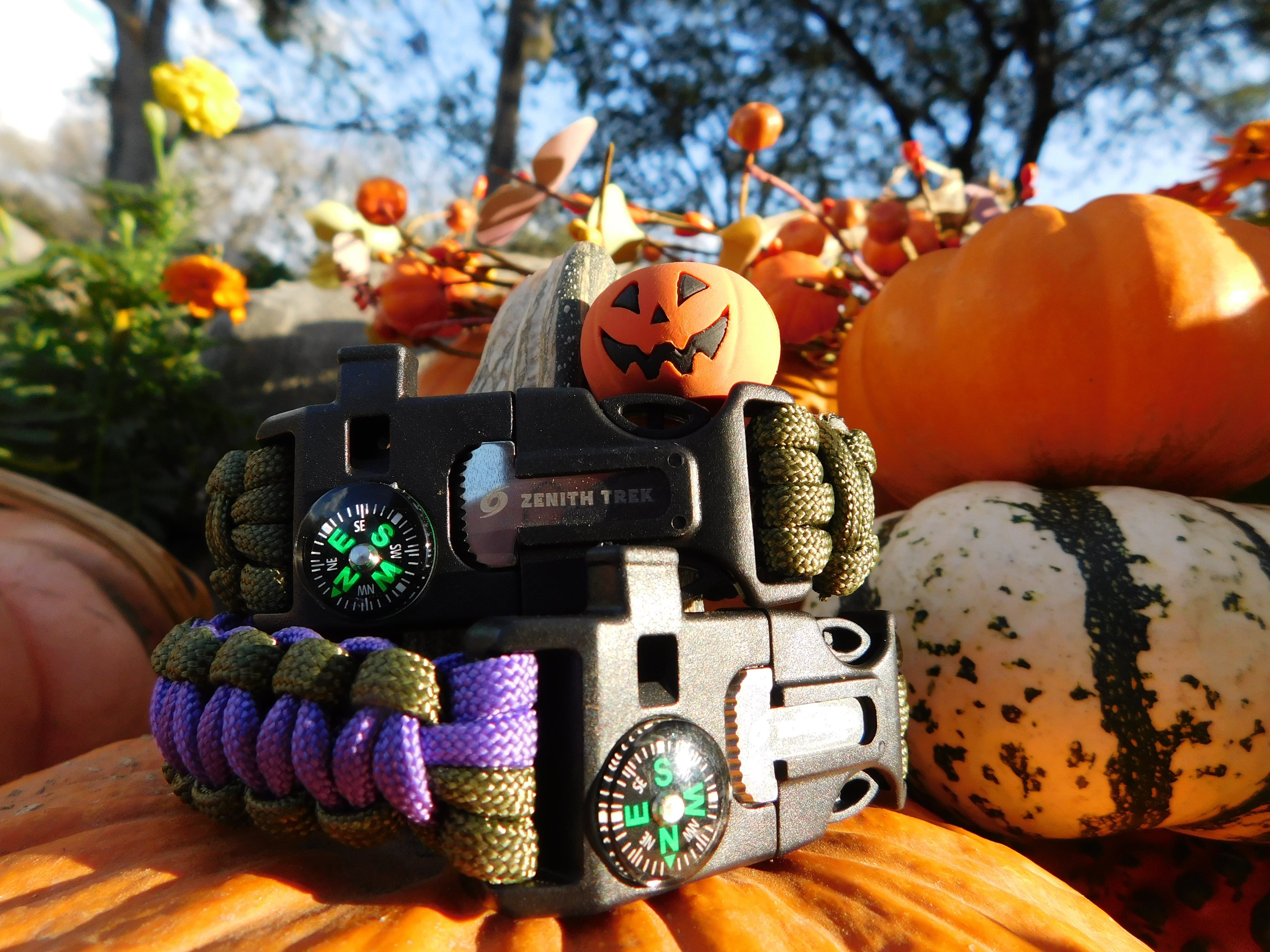 Zenith Trek™ Survival Bracelet