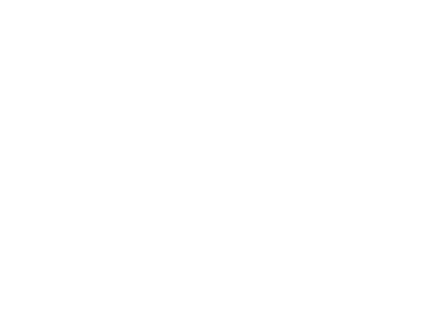 WhiteZenithTrekLogo Zenith Trek Logo